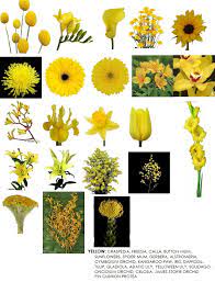 Have you ever found a picture of a bouquet and wondered, what is that flower? Flower Information Modern Petals Blog Wedding Flowers Tulips Yellow Flowers Names Yellow Wedding Flowers