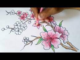 Mengingat banyak permintaan untuk bunga tulip maka kali ini saya posting gambar bunga tulip untuk diwarnai. Menggambar Bunga Sakura Youtube