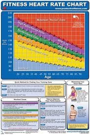 65 Hand Picked Aerobic Heart Rate Zone Chart