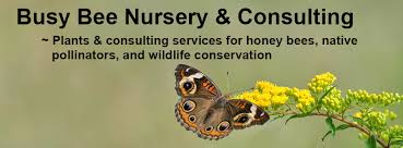 Maybe you would like to learn more about one of these? Native Plant Nurseries Kentucky Native Plant Society