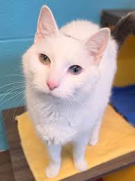 One of A Kind Pet Rescue added...