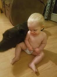 Profile for Lloyd Folsom Animal Control of Monticello Mars Hill Blaine and  Westfield