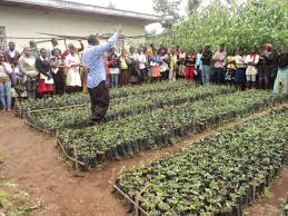 499 likes · 2 talking about this. Inclusive And Participatory Forest Restoration Panorama