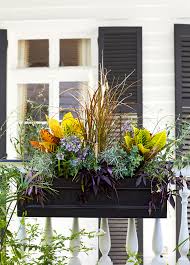 Window box flowers & plants. How To Plant A Window Box Like A Pro Better Homes Gardens