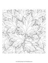 Learn the colors of fall with our free fall leaves coloring pages. Zentangle Autumn Leaves Coloring Page Free Printable Pdf From Primarygames
