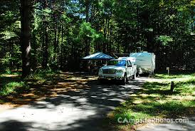 Davidson River Campsite Photos Campsite Availability Alerts
