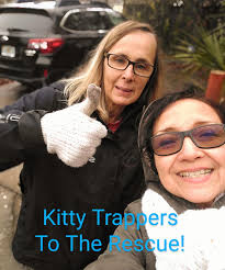 Help rescue pets and wildlife sanctuary with donations