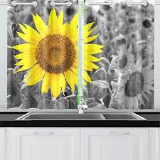 xingchenss black and white and a yellow