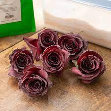 Air drying, kitty litter, and sand were a meh! Silica Gel Flower Drying Preserving Crystals 1kg