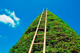 Top 5 Ways To Spend Your Garden Leave That Won T Put You In The Dog House Hm Insights