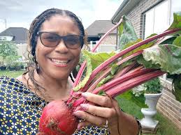 The largest cow itch vine I've evert saw