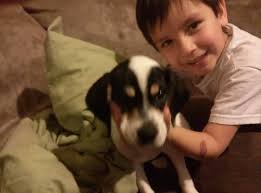 Missing family member in the community