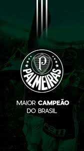 We hope you enjoy our growing collection of hd images to use as a background or home screen for your. Palmeiras Wallpapers On Twitter Wallpaper Palmeiras De Rt Se Voce Salvou