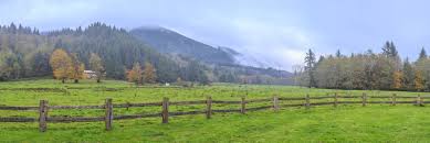 Cheryl Weinstiger Obituary December 15, 2024