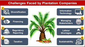 Berjaya oil sdn.bhd is an international producer and marketer of food, agricultural, financial industrial products services. Plantation Companies Brace For Challenges Ahead 27 Advisory