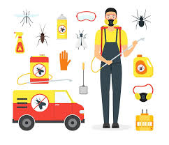 It is providing professional pest control services in patna at the most affordable price range. Best Rat Pest Control My Interior Mart