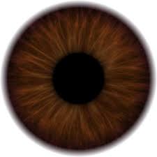63 Trendy Eye Iris Drawing Tutorial Irises Iris Drawing Iris Eye Eye Texture