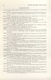 Image result for Aleuritopteris welwitschii