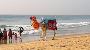 Other attraction is colorful sunrise and sunset overlooking the bay of bengal. Odisha S Puri Beach In Race For Blue Flag Certification Sambad English