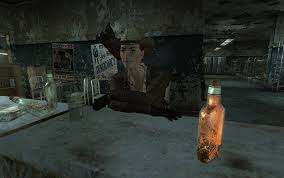 Résultat de recherche d'images pour "fuck ncr sign fallout new vegas"