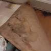 Most homes will consist of a standard subfloor constructed of running boards laid over floor joists, a plywood layer over the running boards, or if on a first floor, the subfloor can be a concrete slab. 1