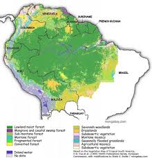 Tropical rainforest location of tropical rainforest biome. Amazon Rainforest