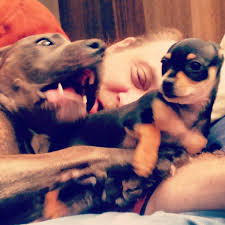 Marisa Reym Wandererrismara Twitter