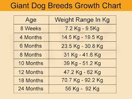 To start, please select your pet type Puppy Development Stages And Growth Chart Marshalls Pet Zone