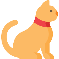 All the pets we have purchased are healthy and adam always has the best products or will order anything we need! Online Pet Shop In Dubai Pet Corner Best Pet Shop In Dubai