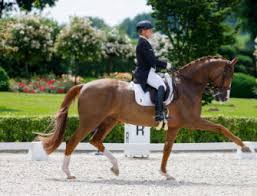 I sabell werth strahlte bereits, bevor das ergebnis offiziell war. Zweimal Totilas Olympia Dressurteam Niederlande Mit Total Us Statt Toto Jr