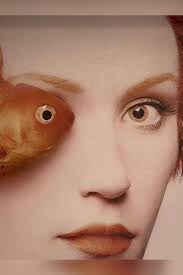 Sami Saab (saabkteer)