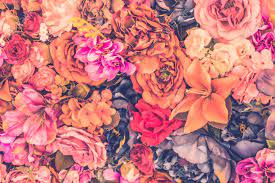 Monarch orange butterfly and bright summer flowers on a background of blue foliage in a fairy garden. Vintage Flower Background Vintage Filter Stock Photo Picture And Royalty Free Image Image 38163803