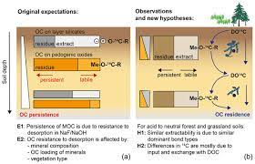 Bg Age Distribution Extractability And Stability Of Mineral Bound Organic Carbon In Central European Soils
