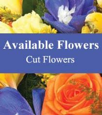 Whether you're looking to buy flowers and gifts like roses, orchids, sunflowers, plants and more! Buy Low Cost Flowers Cheap Flower Delivery Discount Flowers