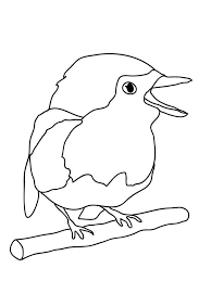 Cute Baby Robin Bird Coloring Page Kids Play Color Bird Coloring Pages Baby Robin Bird Robin Bird