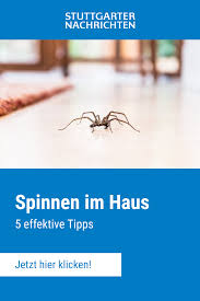 So kommen spinnen ins haus. Pin Auf Haushaltstipps