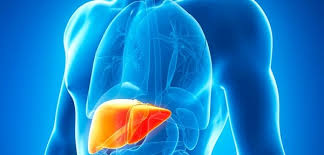 Hepatita b se transmite mai repede decat infectia hiv prin contactul heterosexual si, in contrast cu hiv, poate fi transmis prin contactul intim in familie, in special in conditii de trai aglomerat. Sanatatea Ficatului Despre Hepatita