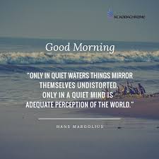 Disturbed Mind Good Morning Quotes Mindfulness Morning Quotes