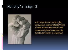 Image result for Murphy Sign
