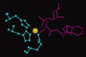Sama saya dipakaikan rok, roknya bagus sekali. Assessing The Performance Of The Molecular Mechanics Poisson Boltzmann Surface Area And Molecular Mechanics Generalized Born Surface Area Methods Ii The Accuracy Of Ranking Poses Generated From Docking Hou 2011 Journal