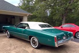 Image result for Heather Firemist 1986 GM