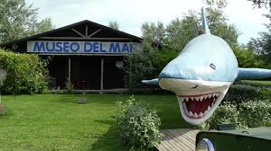 Resultado de imagem para Summer Camp de Punta Del Este