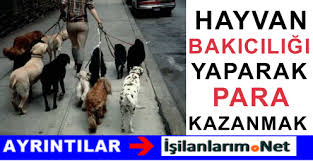 Evcil Hayvan Bakiciligi Yaparak Ek Gelir Kazanmak Is Ilanlarim Net Guncel Is Ilanlari