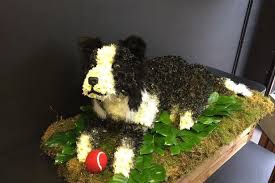 The circle shape has been the flowers that are long lasting are the best choice. Check Out These Incredible Funeral Wreaths Made By A Burton Florist Derbyshire Live