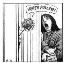 Norway Spring Problems Allergies Funny Pop Culture Art New Yorker Cartoons