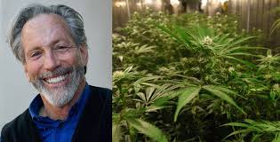 Lots of Innuendo but Little Substance in Los Angeles Magazine Article