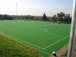 een hockeyveld vind ik ook mooi in mijn droomtuin want ik zit ook op hockey hockey skien