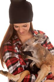 A baby marsupial of any kind—kangaroo, wallaby, koala, tasmanian devil, wombat, possum, etc—is known as a joey. 514 Kangaroo Love Photos Free Royalty Free Stock Photos From Dreamstime
