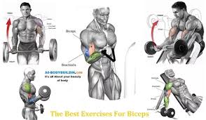 The Best Exercises For Biceps Best Exercise For Biceps