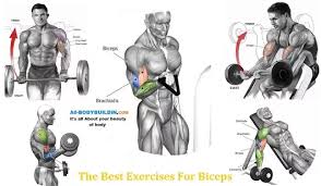 the best exercises for biceps best exercise for biceps